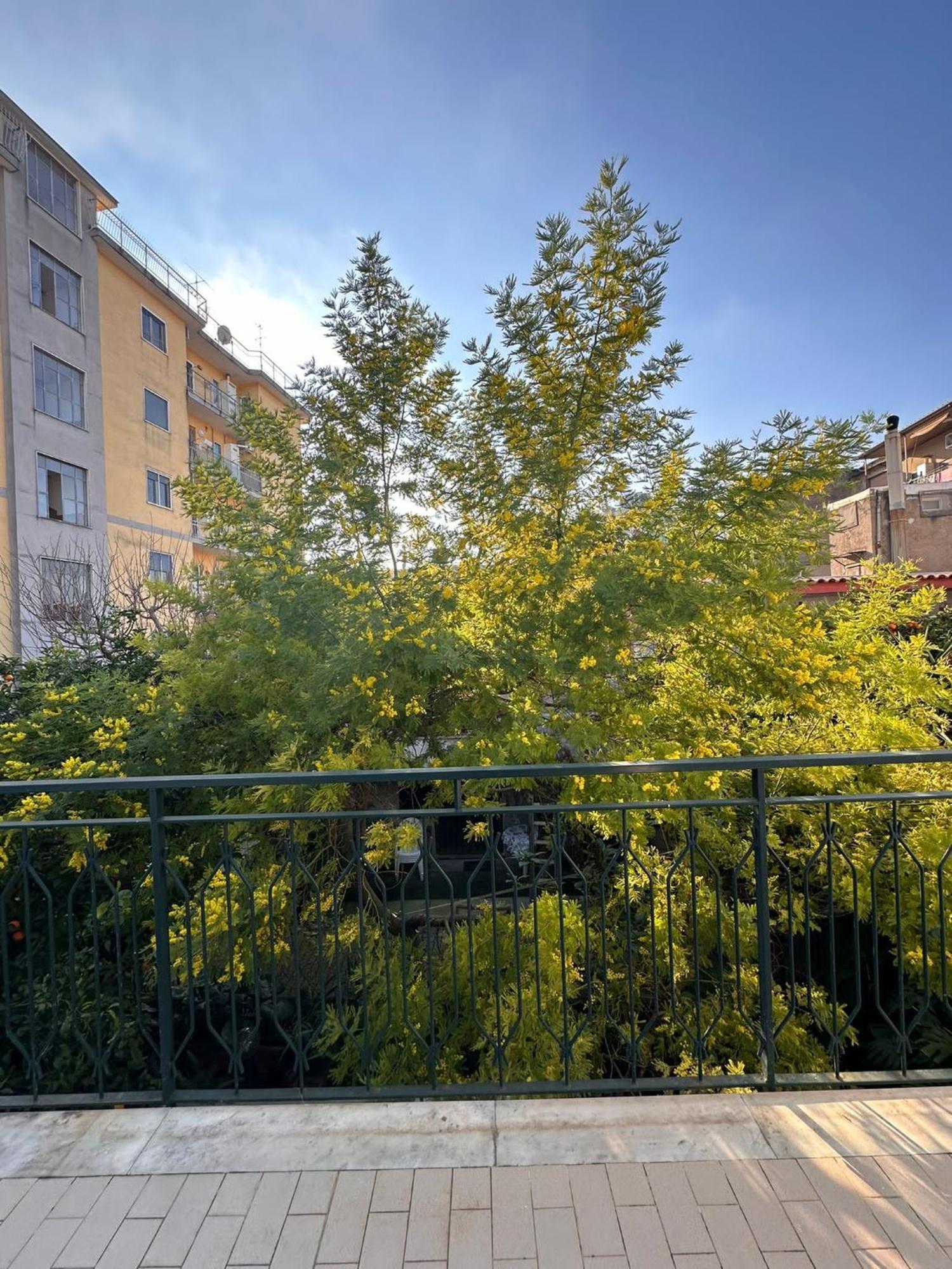 Il Campanile Ξενοδοχείο Scafati Εξωτερικό φωτογραφία
